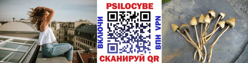 Псилоцибиновые грибы мухоморы  Купить  Соль-Илецк 
