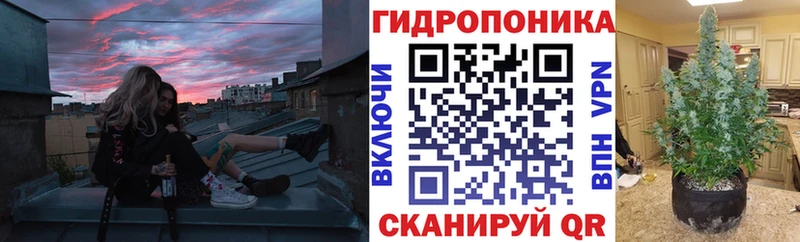 МАРИХУАНА семена  Купить где  Соль-Илецк 